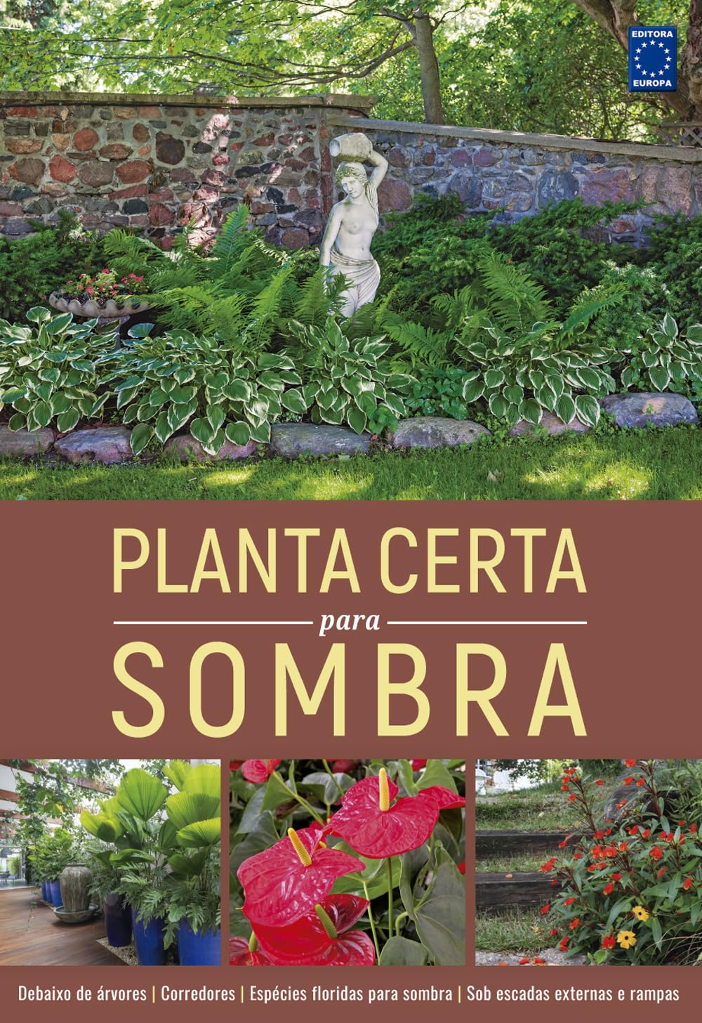 Planta Certa para Sombra 1 Planta Certa para Sombra