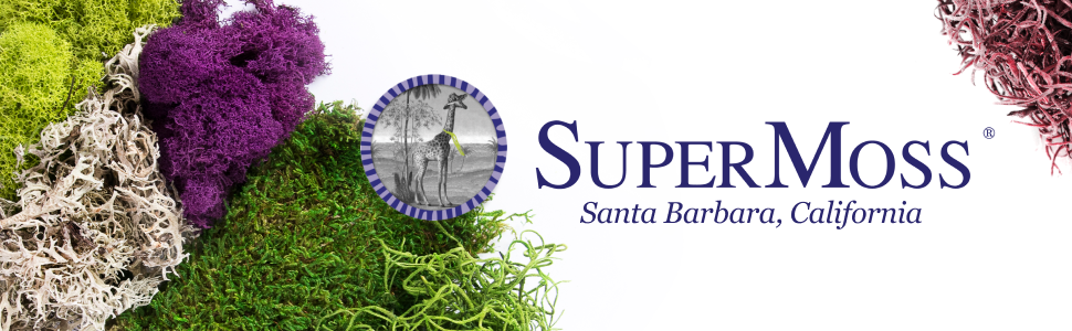 Supermusgo 