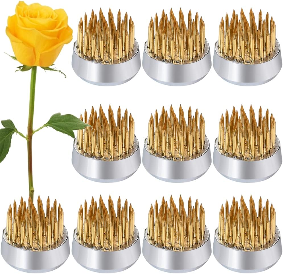 Suporte de haste Ikebana 10 pecas de sapo de flores