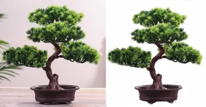 Surpreenda-se com o bonsai artificial que transforma qualquer ambiente