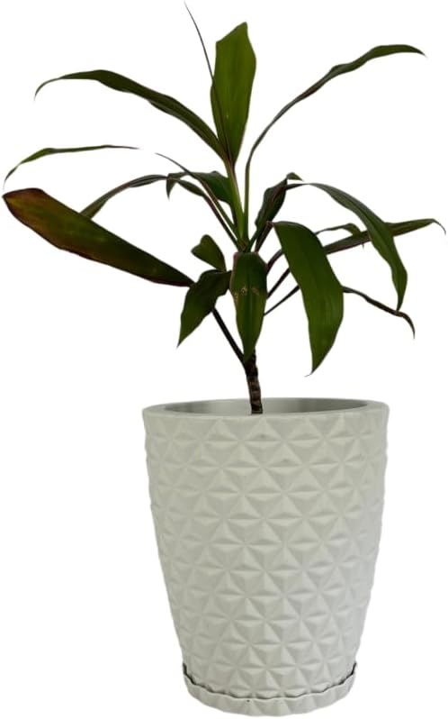 Vaso para Planta modelo Coluna Diamante tamanho PP 30cm de altura (Branco) 1 Vaso para Planta modelo Coluna Diamante tamanho PP 30cm de