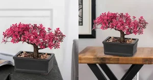 Você sabia que um bonsai artificial zimbro pode transformar completamente sua decoração