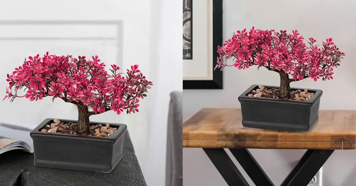 Você sabia que um bonsai artificial zimbro pode transformar completamente sua decoração 1 Você sabia que um bonsai artificial zimbro pode transformar completamente sua decoração