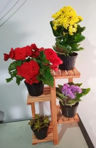 1752324705_Suporte-pra-plantas-mesa-pequenas-4-lugares