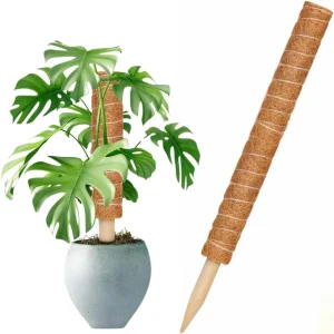 1752500853_Suporte-Tutor-para-Plantas-80cm-de-Fibra-de-Coco-Fixo