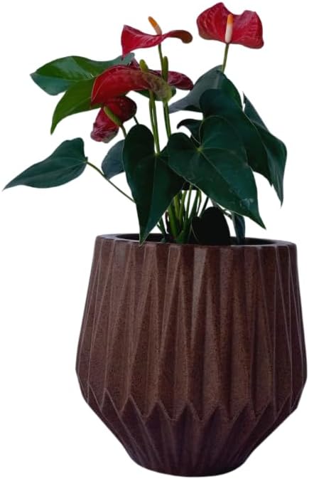 1753794533 281 Vaso de Planta Origami P 22 cm de Altura para