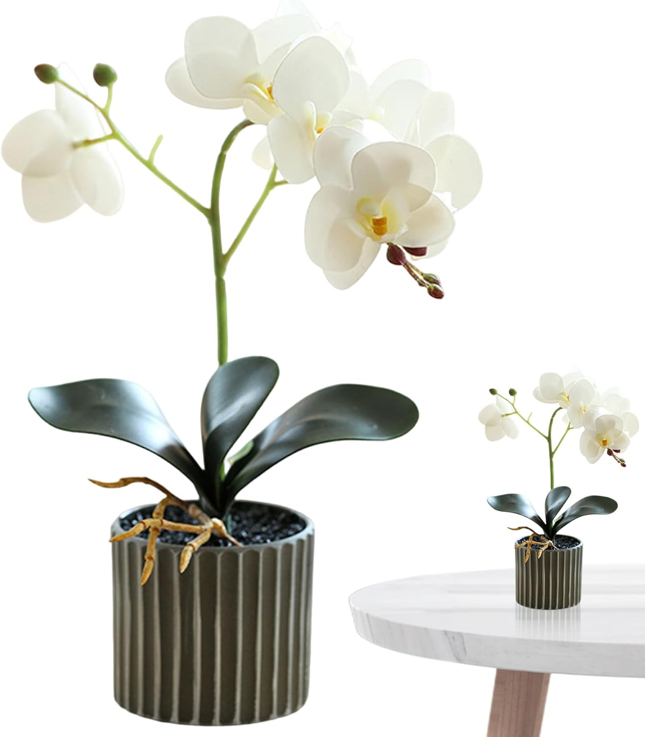 Hbbgdiy Orquidea Phalaenopsis realista de 126 polegadas em vaso planta