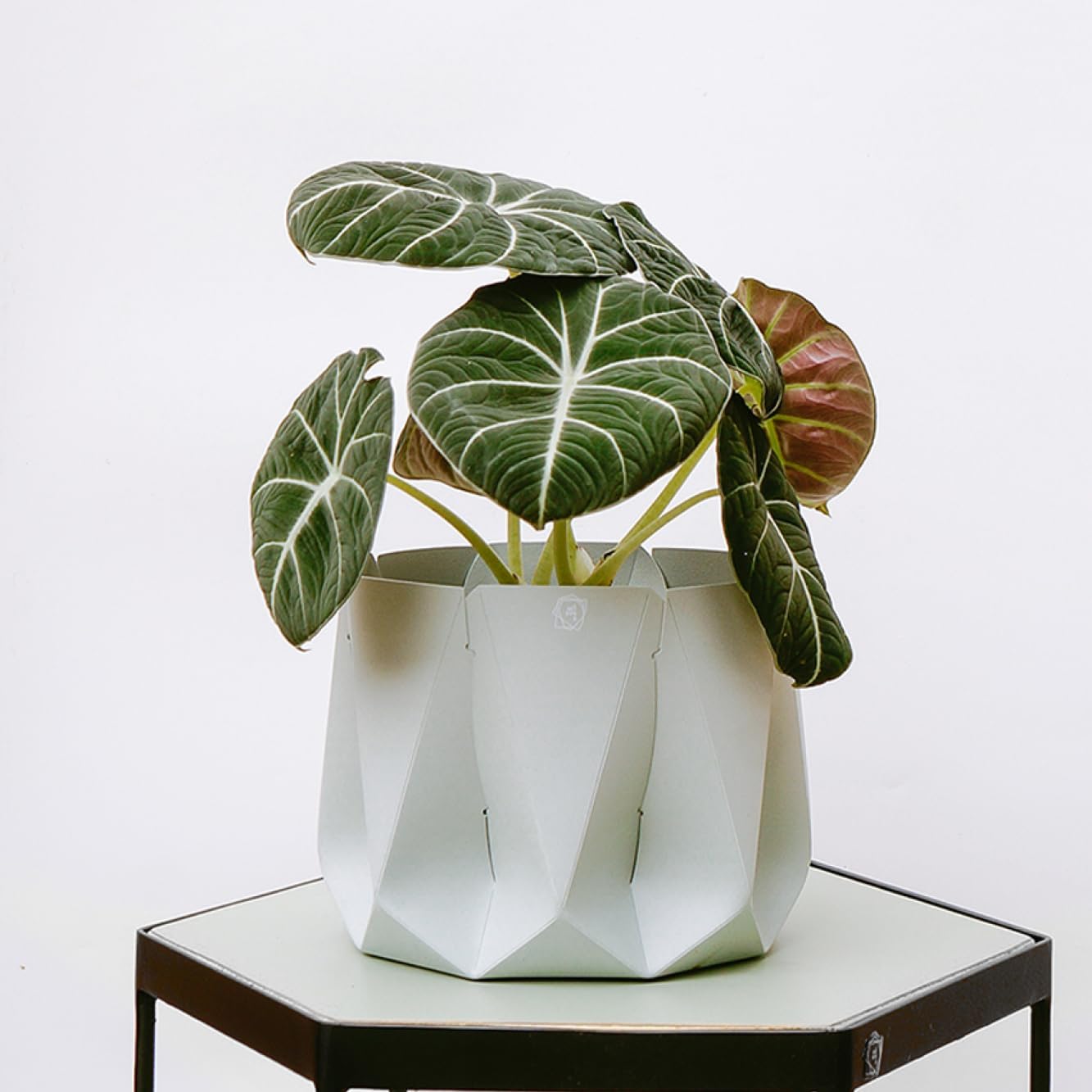 Selvvva Vaso decorativo para Flores ou Plantas CachepoCachepot sem furo