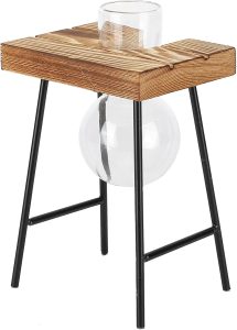 Vaso de mesa, vaso de planta durável plantador de vidro com suporte de madeira para escritório(Uma garrafa + banco)