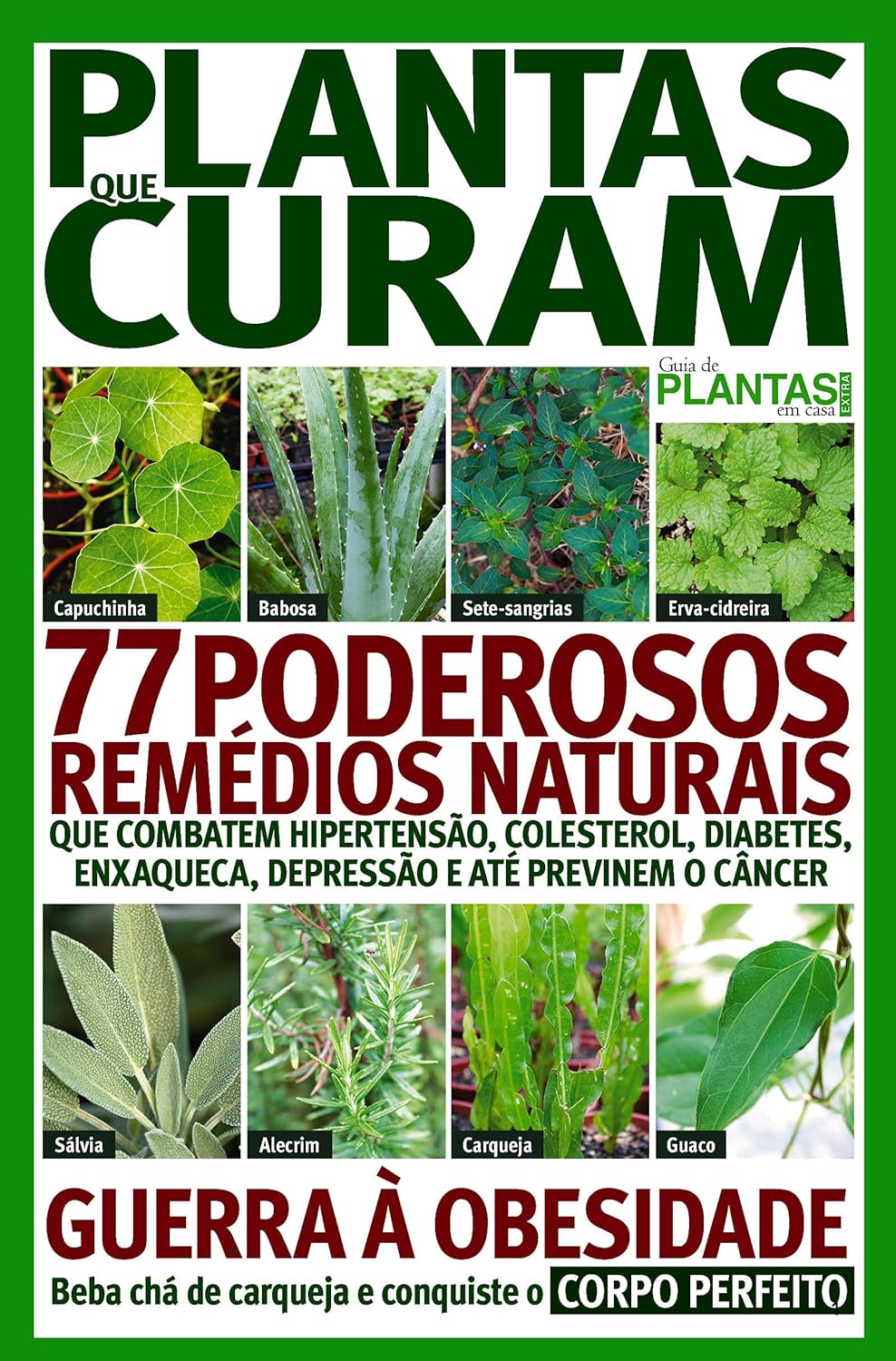 Guia de plantas em casa