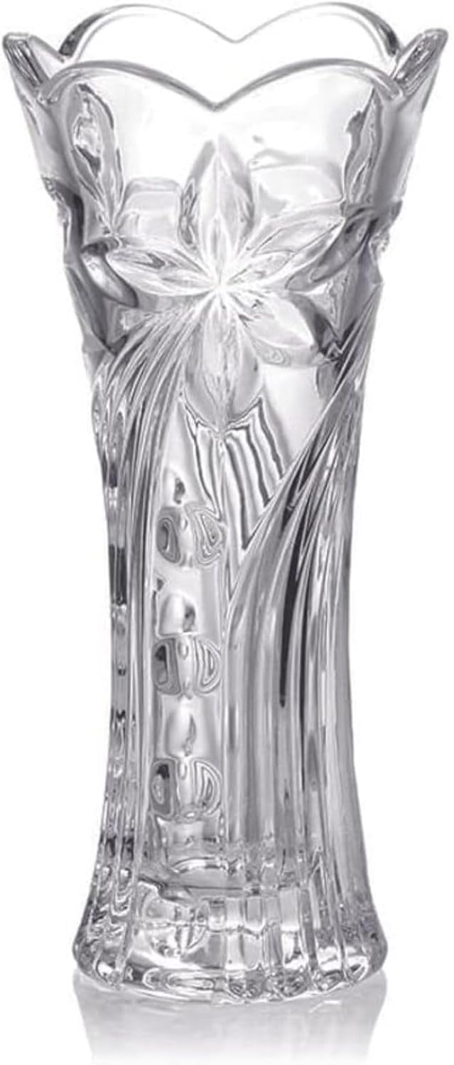 Hauskraft VASO 032 Vaso Hebe Transparente 195 cm
