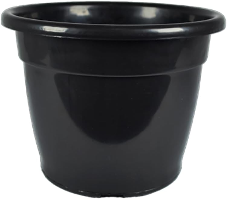 Kit 5 Vasos Pote 25 De 5 Litros Para Orquideas
