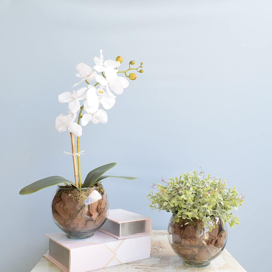 Kit com 2 Arranjos Flor Artificial Orquidea Branca e Peperomia