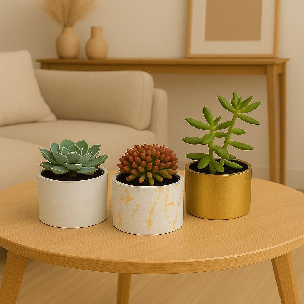 Kit com 3 Vasos Decorativos em Cimento para Suculentas e