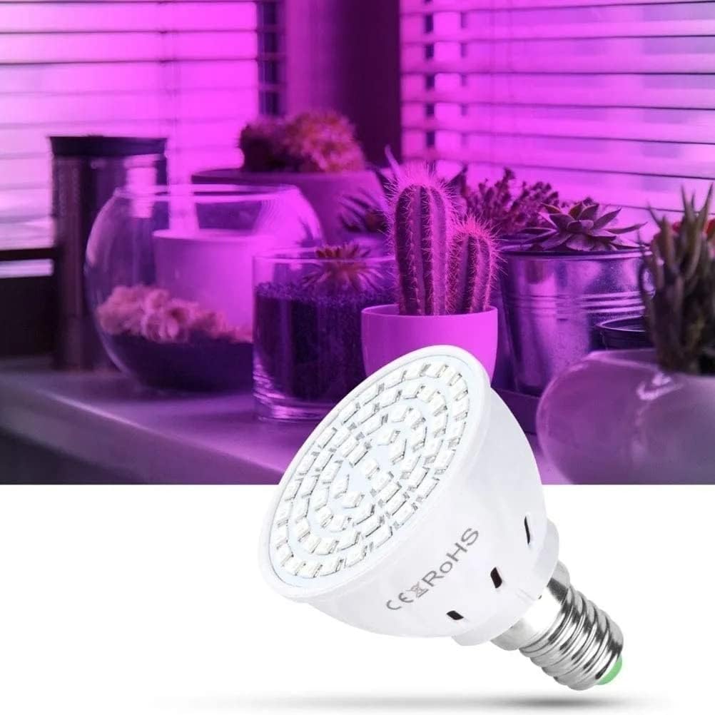 Lampada 5W Para Plantas de Led Vai Ajudar Suas