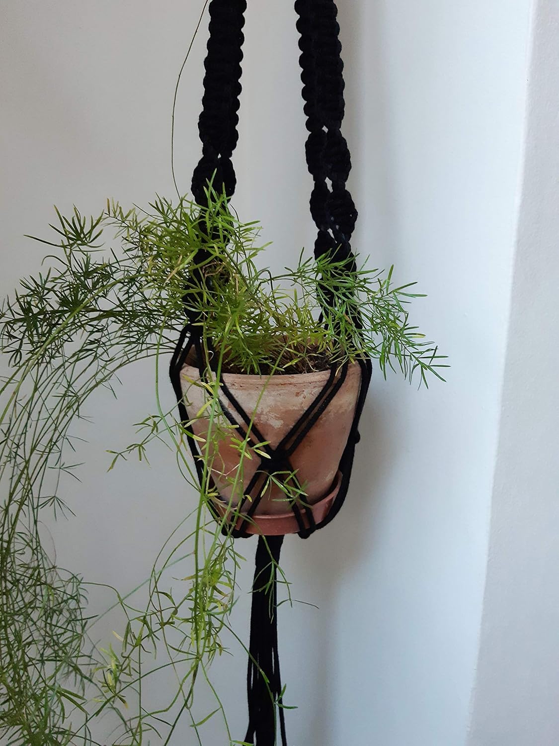 Suporte De Vaso Macrame Preto Plant Hanger