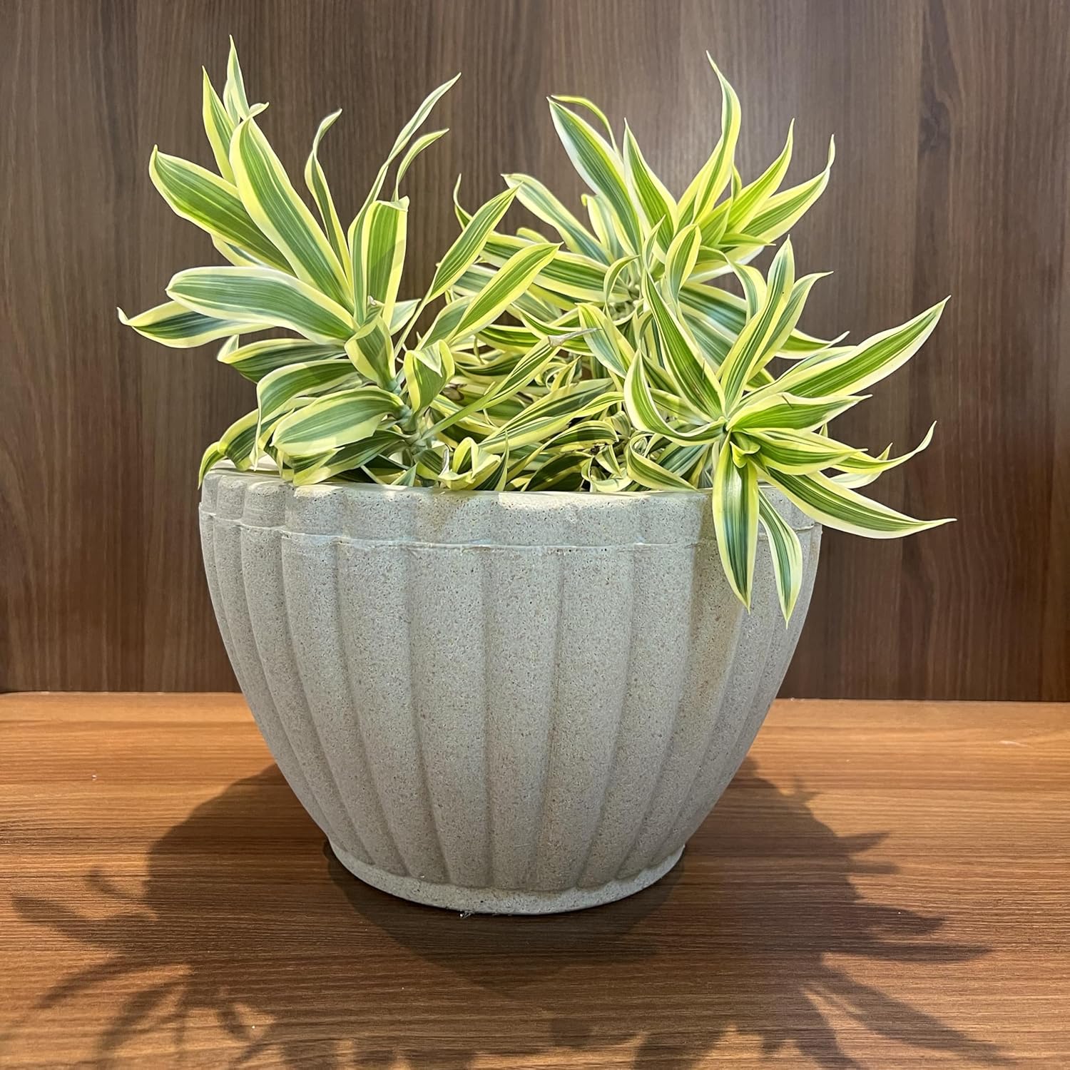 VASOS POLIETILENO BACIA GREGA DECORATIVO PPLANTASJARDINSESCRITORIOS LUXO BEGE