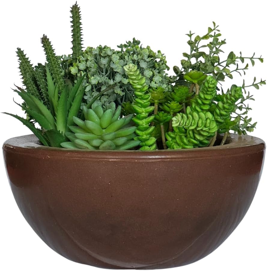 Vaso Bacia Cuia Planta Decorativa Suculentas Rosa Do Deserto (Marrom cacau) 1 Vaso Bacia Cuia Planta Decorativa Suculentas Rosa Do Deserto Marrom