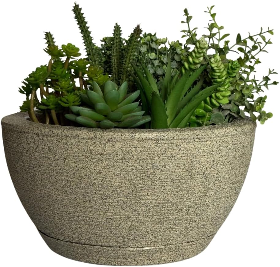 Vaso Bacia Cuia P/plantas Decorativa Luxo Terrário Jardim C/prato (Cinza) 1 Vaso Bacia Cuia Pplantas Decorativa Luxo Terrario Jardim Cprato Cinza