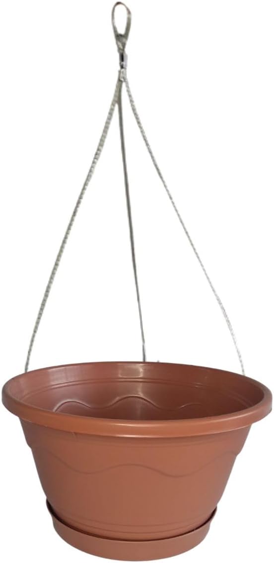 Vaso Cuia 21 Suspenso Com Prato Cabo de Aco