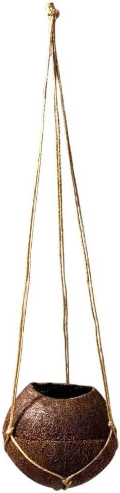 Vaso Kokedama Suspenso 10x11cm Fibra De Coco Natural Flores