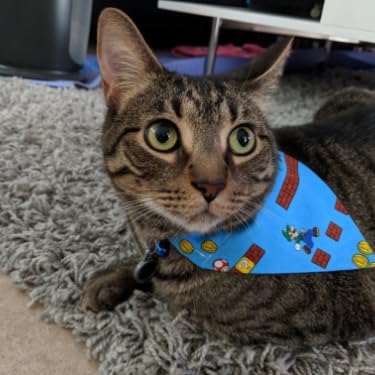 1759719759 442 Arranjo de flores de peonia artificial em vaso flores falsas