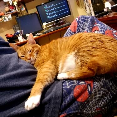 1760030922 125 Airscape Recipiente de armazenamento de alimentos – Tampa hermetica patenteada