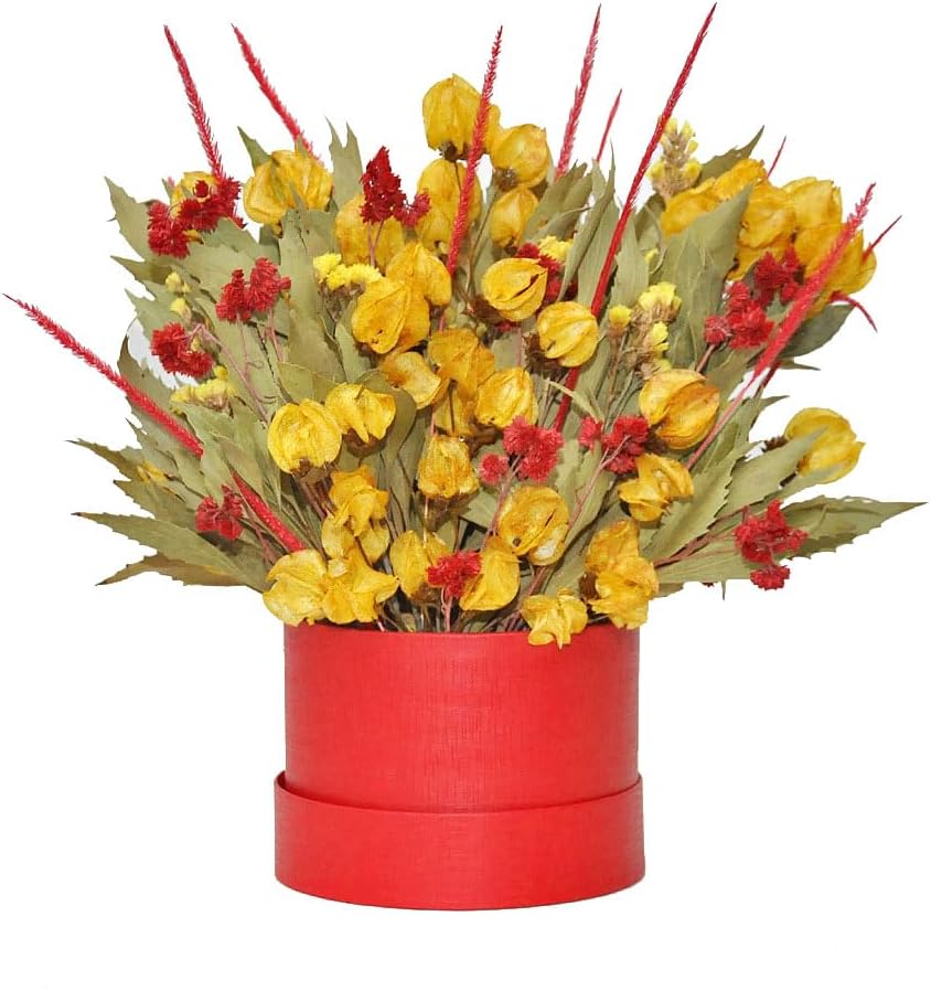 Arranjo Flores Desidratadas Box Presente Decoração Vermelho Elegante 1 Arranjo Flores Desidratadas Box Presente Decoracao Vermelho Elegante