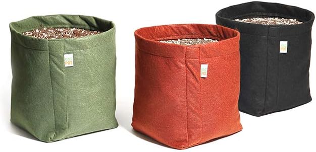 Kit 3 Vasos de Feltro 11 Litros KingPot