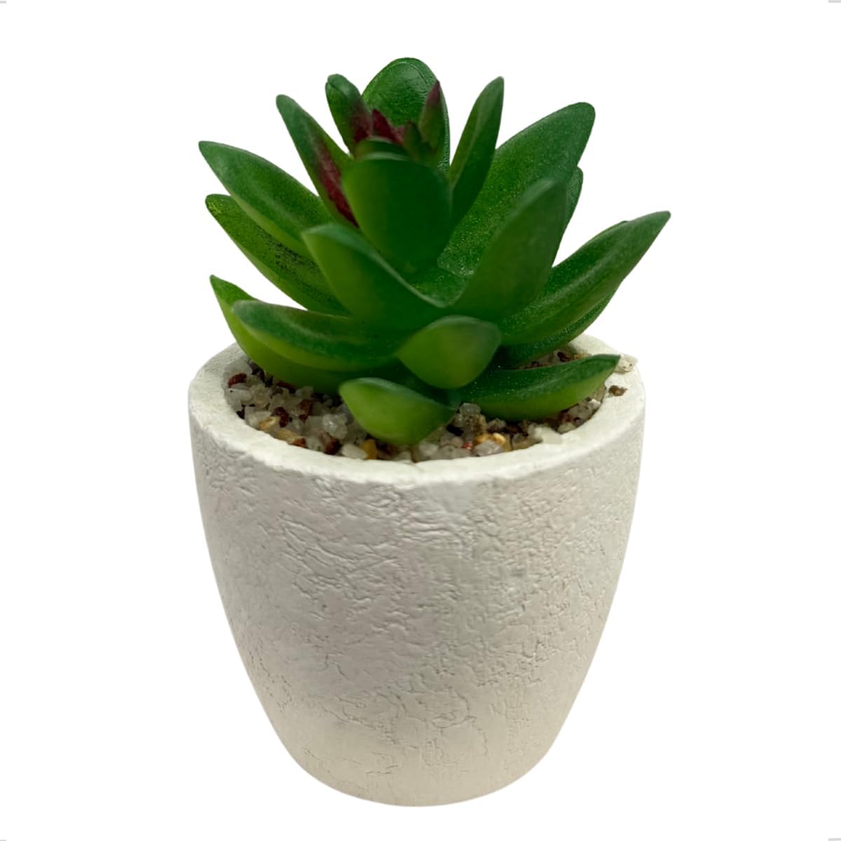 Mini Decorativo Vaso Enfeite Suculenta Planta Artificial Gesso Redondo 5x8cm Banheiro Estante Mesa (1) 1 Mini Decorativo Vaso Enfeite Suculenta Planta Artificial Gesso Redondo
