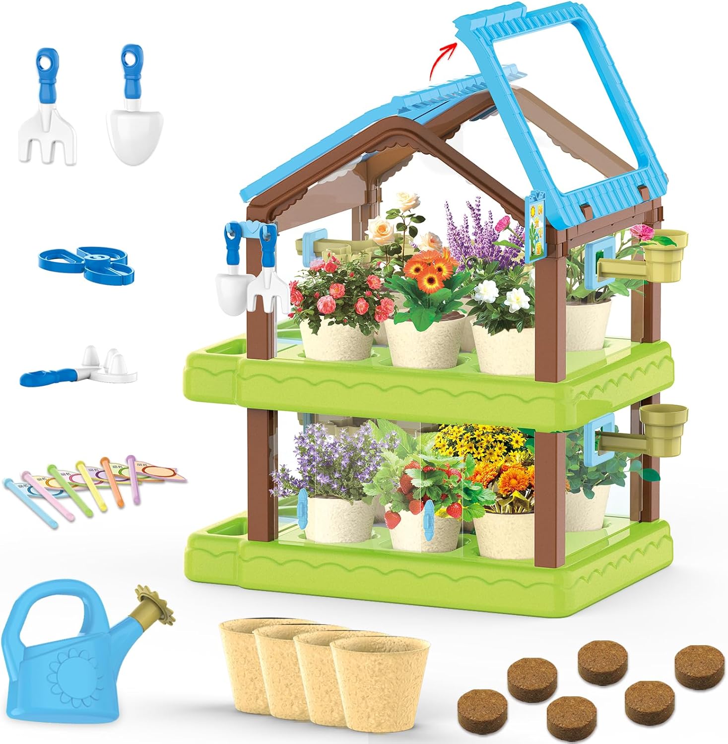Mostop Kit de jardinagem infantil kit de terrario de cultivo