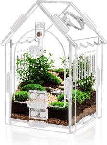 Gabinete de aranha saltadora – Dimensões internas 8 x 8 x 14 cm Kit de terrário de acrílico para tarântulas/louva-a-deusa/répteis com porta magnética, ventilação e fácil montagem