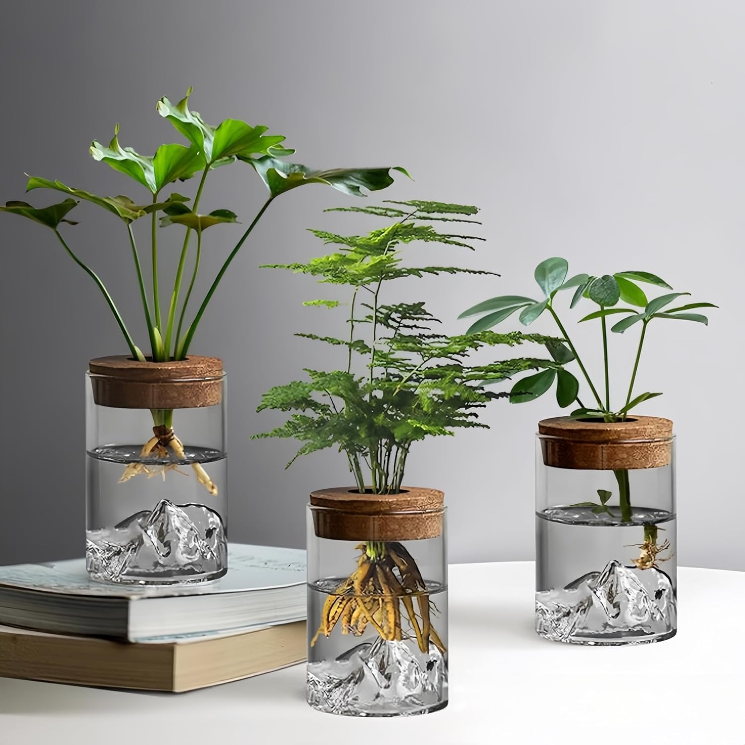 Estacoes de propagacao de plantas potes de plantas propagadas para