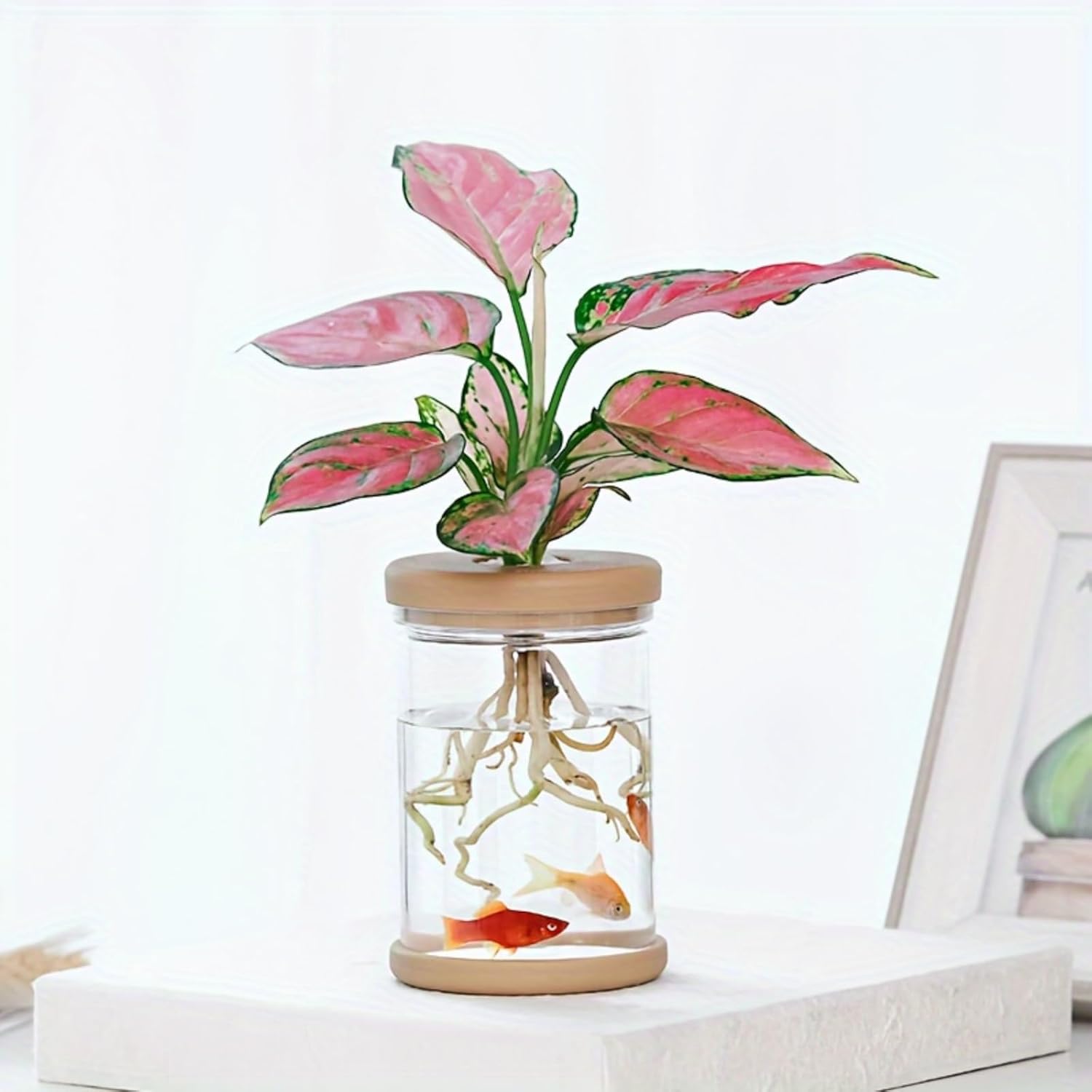 Estações de propagação de plantas, vaso de flores separado para sala de estar e quarto, vasos decorativos para casamento, dia dos namorados, dia das mães 1 Estacoes de propagacao de plantas vaso de flores separado para