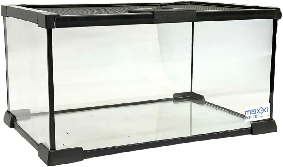 Maxxi Terrario Vidro Com Tampa 30 x 20 x 16cm