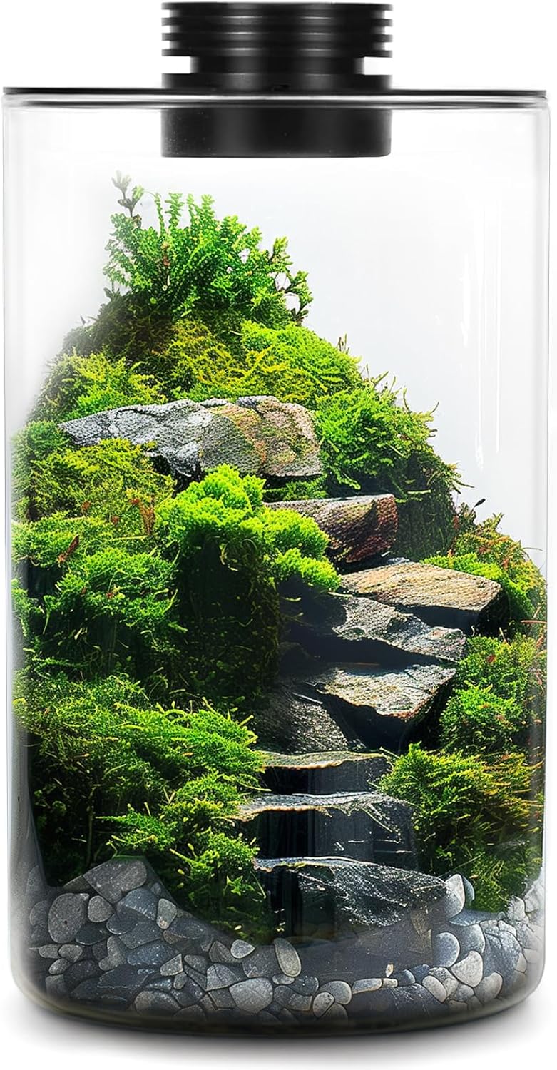 Mini terrário de vidro de mesa com luz de crescimento - paisagem de jardinagem em miniatura de musgo suculento, tanque de peixes, crescimento de plantas internas, escritório, decoração de casa 1 Mini terrario de vidro de mesa com luz de crescimento