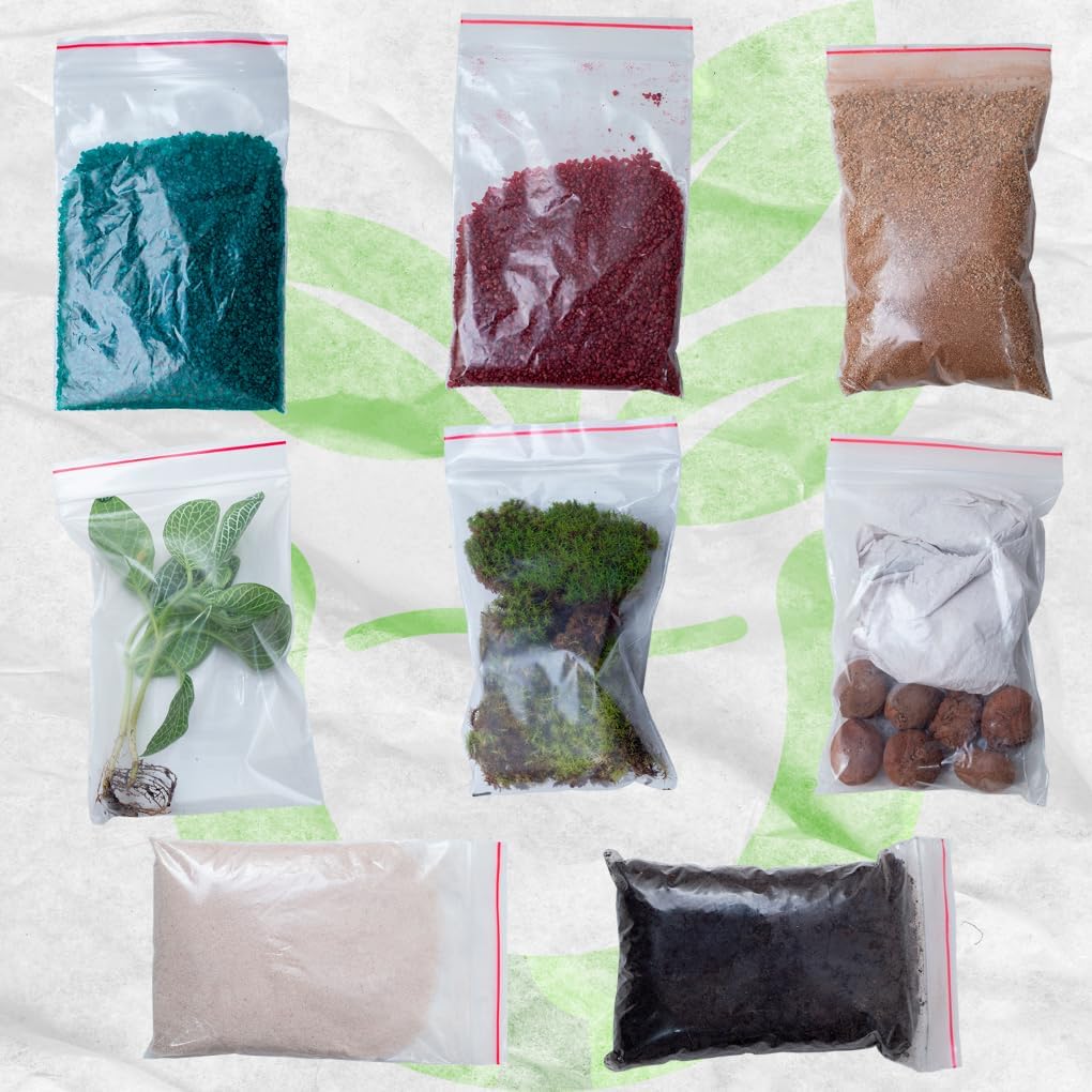 Terrario mini jardim decoracao sem vaso