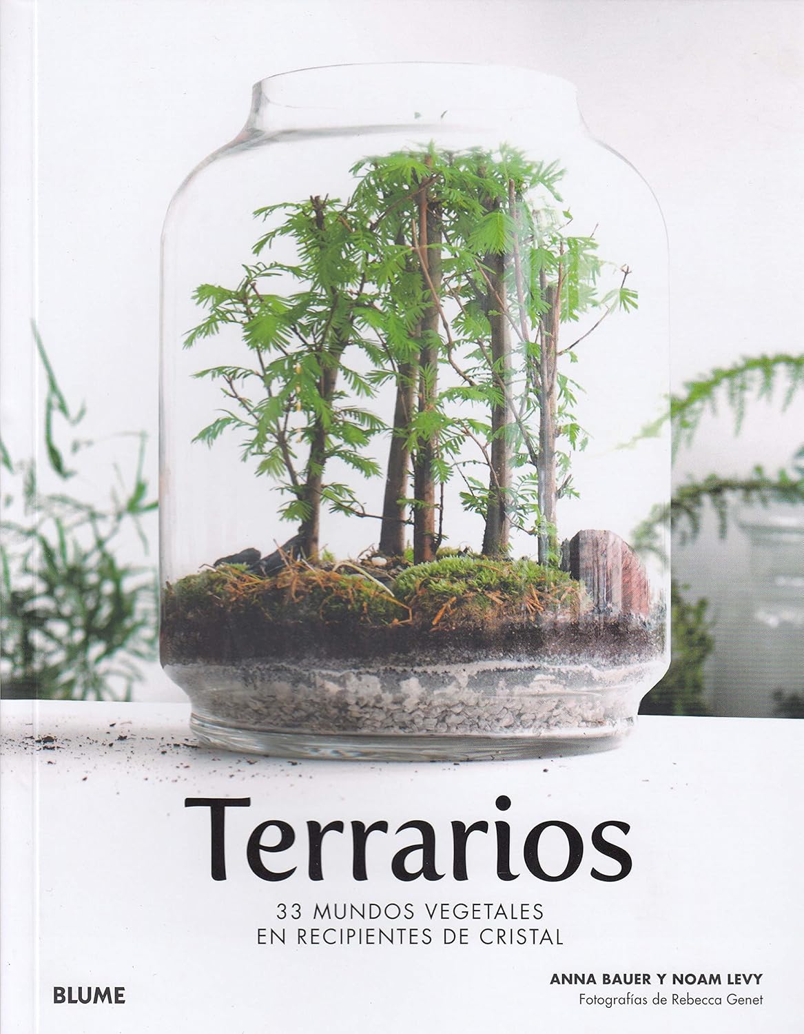 Terrarios 33 mundos vegetales en recipientes de cristal