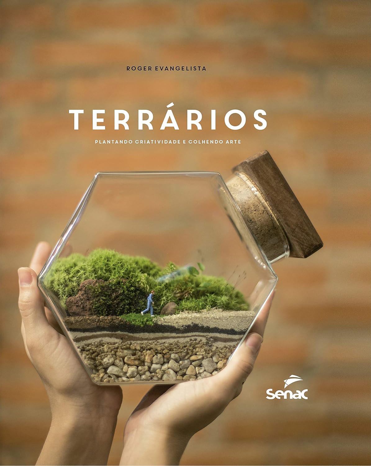 Terrarios plantando criatividade e colhendo arte