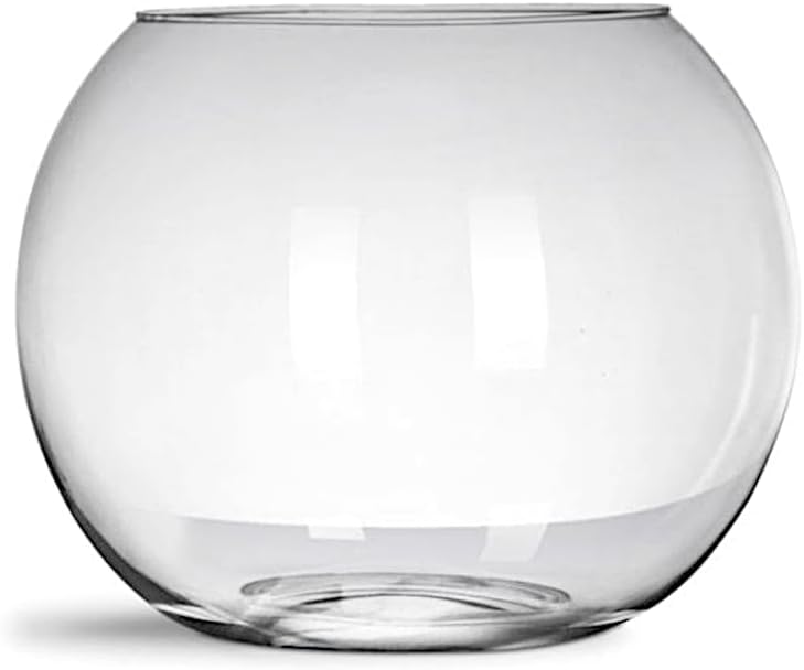 Vaso Aquário 1l Terrário Pequeno Redondo Ø12x10cm Vidro Para Decoração 1 Vaso Aquario 1l Terrario Pequeno Redondo O12x10cm Vidro Para Decoracao