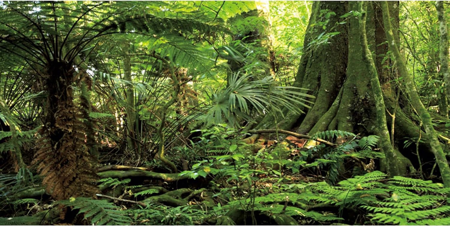 122 x 45 cm Fundo de terrario floresta verde pedra