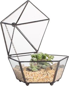 NCYP Terrário geométrico de vidro pequeno, recipiente fechado em forma de caixa de joias, caixa de plantas suculentas, vaso de flores para decoração de jardim interno externo feito à mão (sem plantas, apenas terrário)