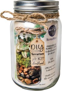 Kit de terrário Portland – Kit de terrário de pote de conserva faça você mesmo
