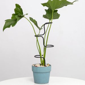 3 peças de estacas de suporte para plantas de interior – Treliça de metal resistente para flores de jardim e Monstera, durável e fácil de usar, perfeita para plantas de interior pequenas a