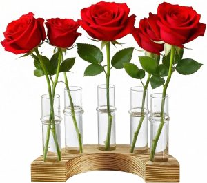 Terrário de plantas com suporte de madeira, estação de propagação de plantas, terrários de vidro para plantas, pequenos presentes de jardinagem de aniversário para mulheres, mães e amantes de plantas