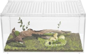 Terrário de répteis transparente respirável caixa de reprodução de répteis recipiente multiuso para cobra tarântula caranguejo eremita aranha pulando (G)