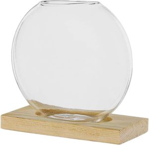 Baoblaze Vaso de flores transparente, estação de propagação de plantas, suporte de vidro, plantador de fazenda, terrário para festa de inauguração de casa, Cor madeira