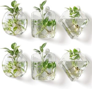 LemonRoad Vaso de vidro transparente para pendurar na parede, 6 peças, estação de propagação, terrários, vaso de vidro transparente para planta hidropônica, casa, escritório, sala de estar, banheiro