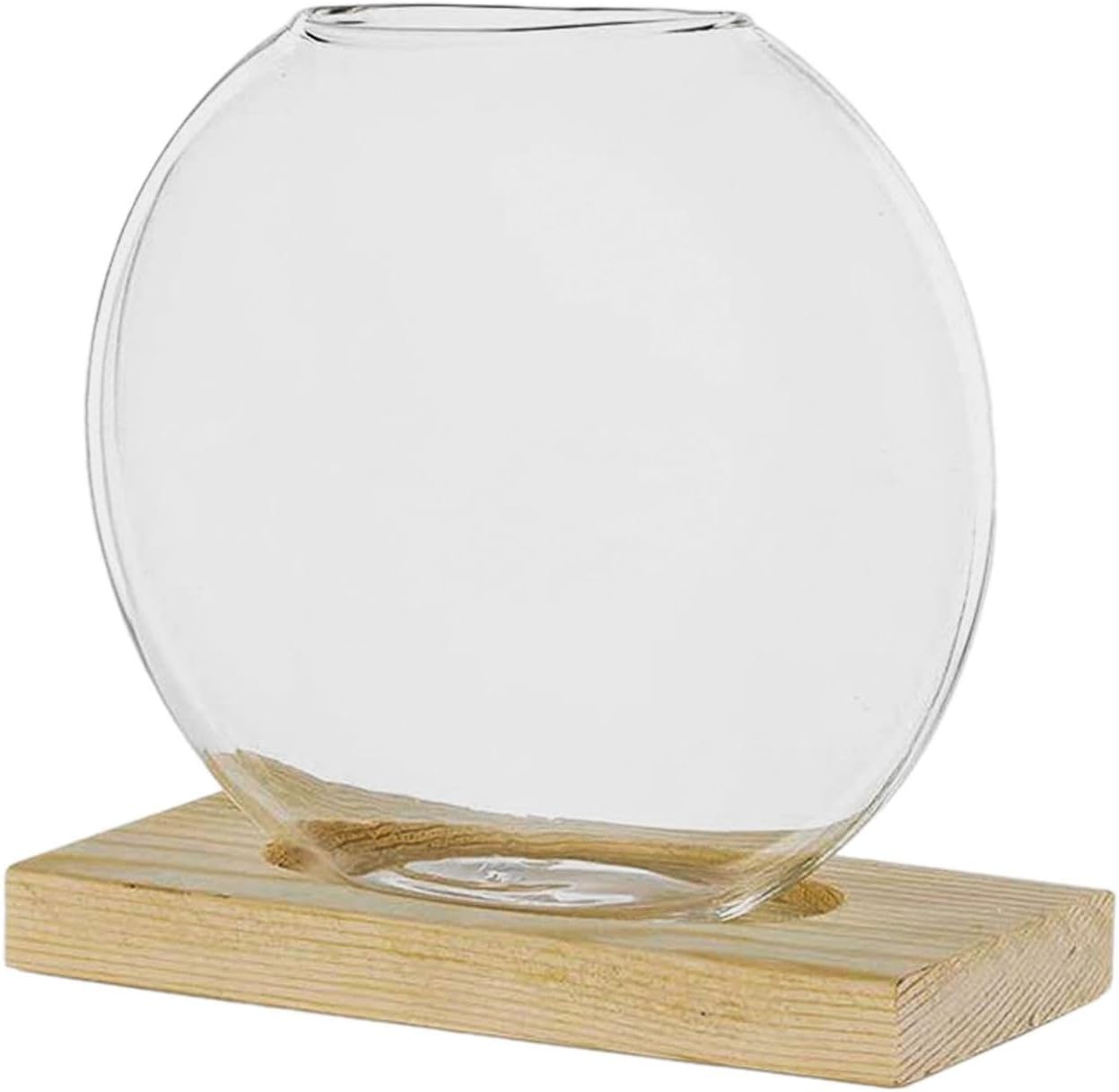 Baoblaze Vaso de flores transparente estacao de propagacao de plantas