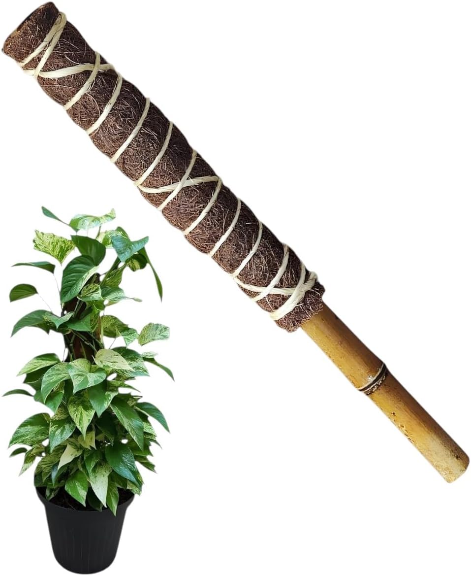 Estaca Bastao Tutor Fibra De Coco Bambu Planta Trepadeira